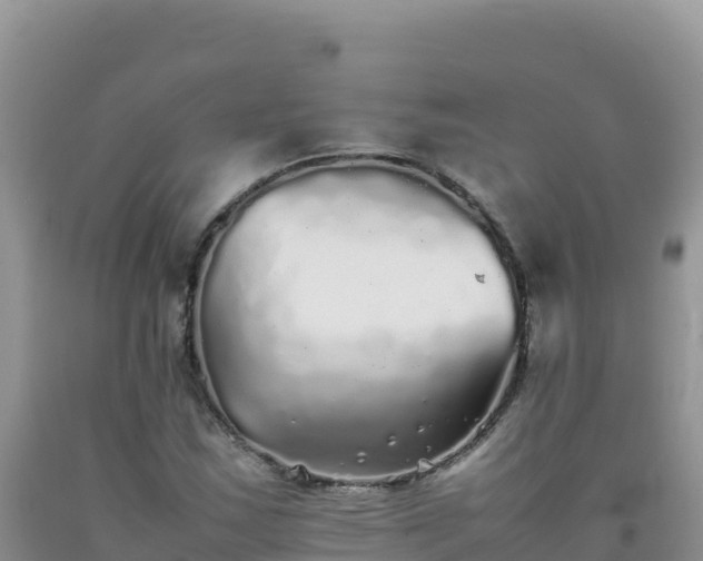 X0000092101163200709191301