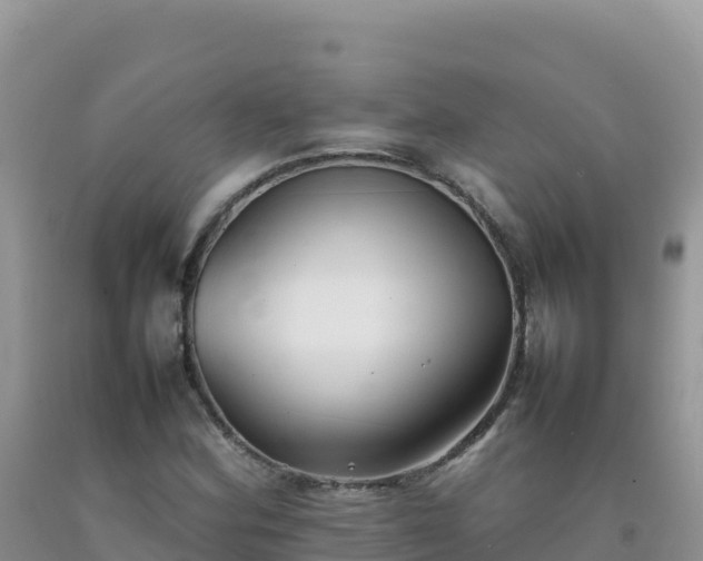 X0000092101164200709191301