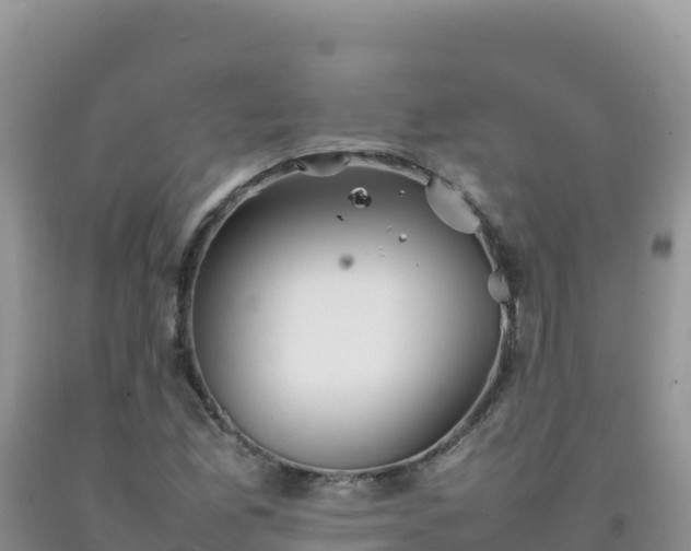 X0000092101165200709191301