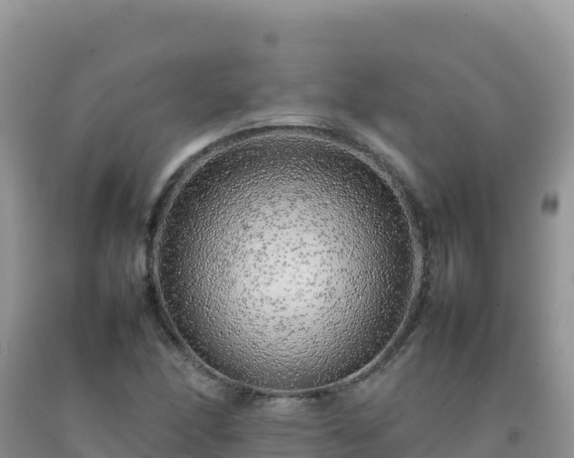 X0000092101166200709191301