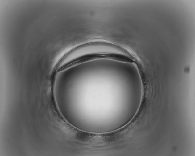 X0000092101167200709191301