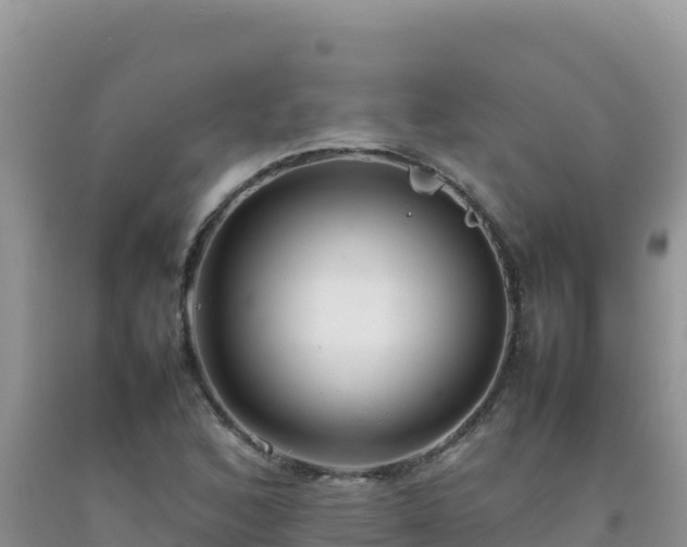 X0000092101168200709191301