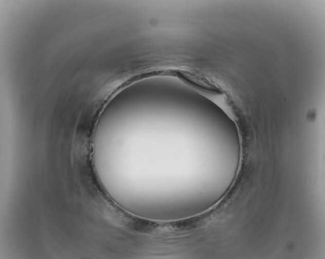 X0000092101169200709191300