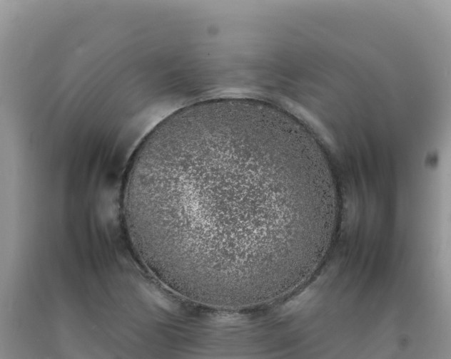 X0000092101170200709191300