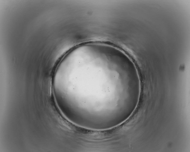 X0000092101171200709191300