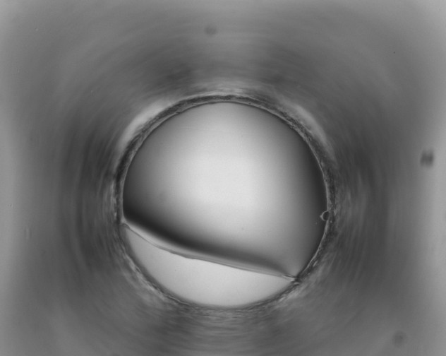 X0000092101172200709191300