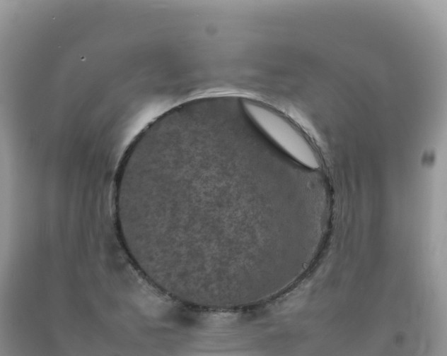 X0000092101173200709191300