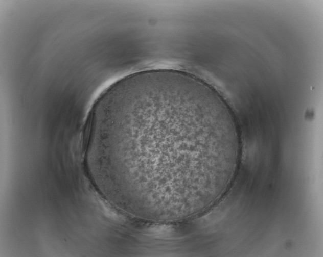 X0000092101174200709191300