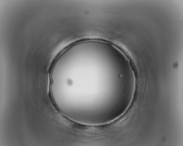 X0000092101175200709191300