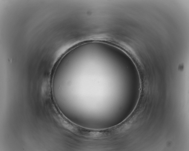 X0000092101176200709191300