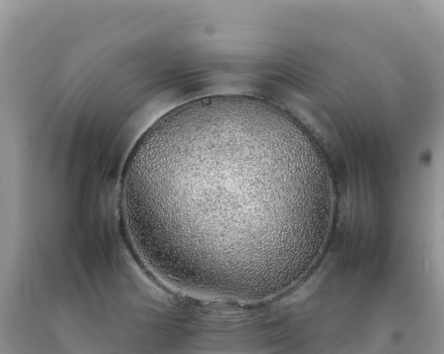 X0000092101178200709191300