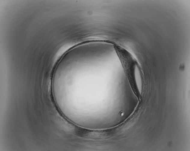 X0000092101179200709191300