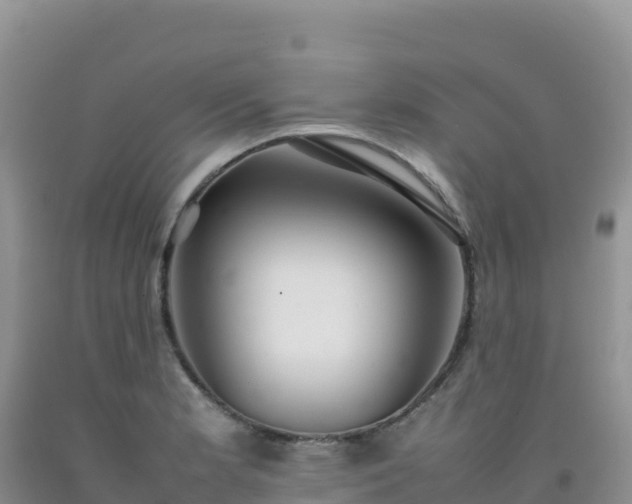 X0000092101181200709191300