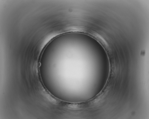 X0000092101182200709191300