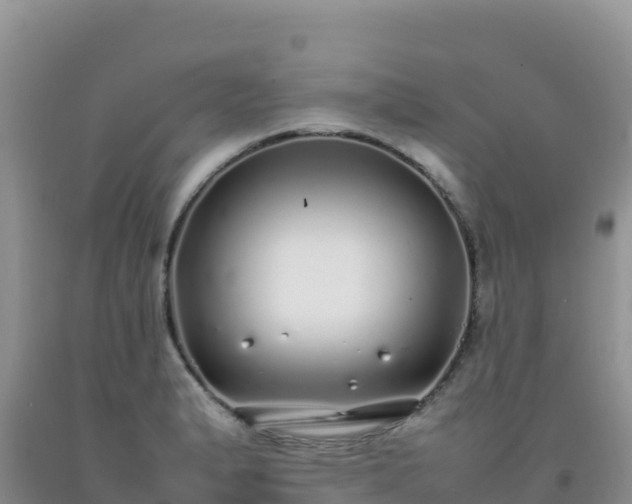 X0000092101183200709191300