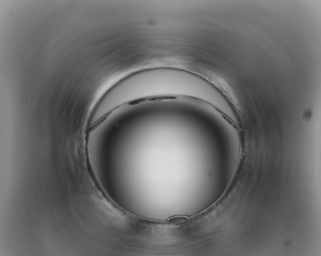 X0000092101184200709191300