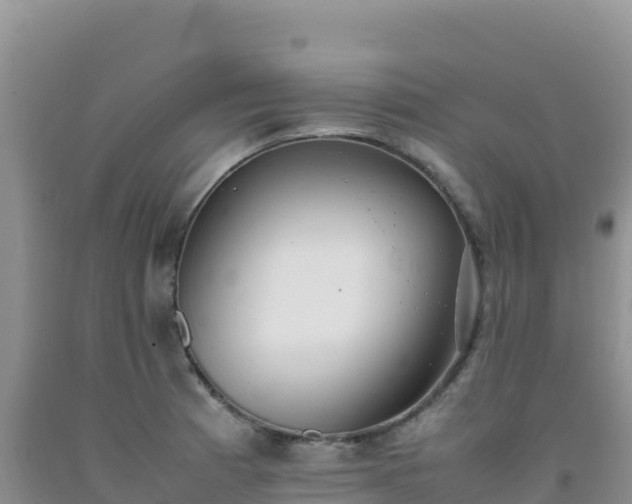 X0000092101185200709191300