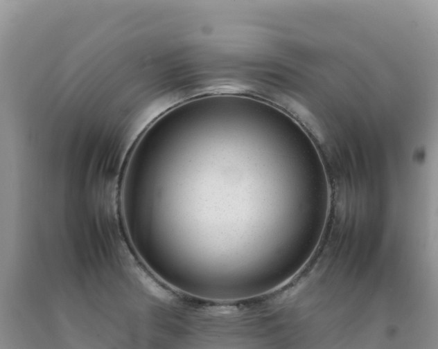 X0000092101186200709191300