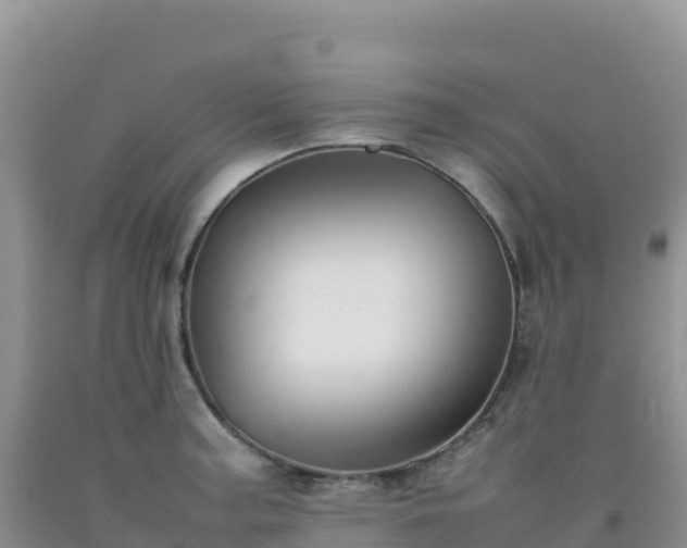 X0000092101187200709191300