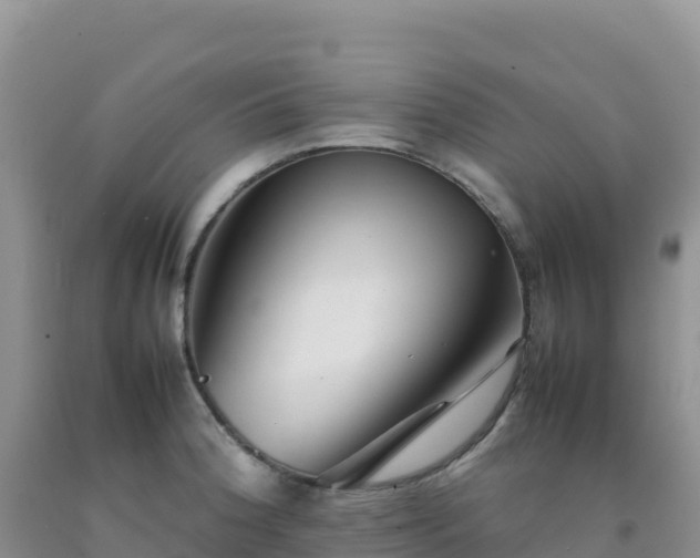 X0000092101188200709191300