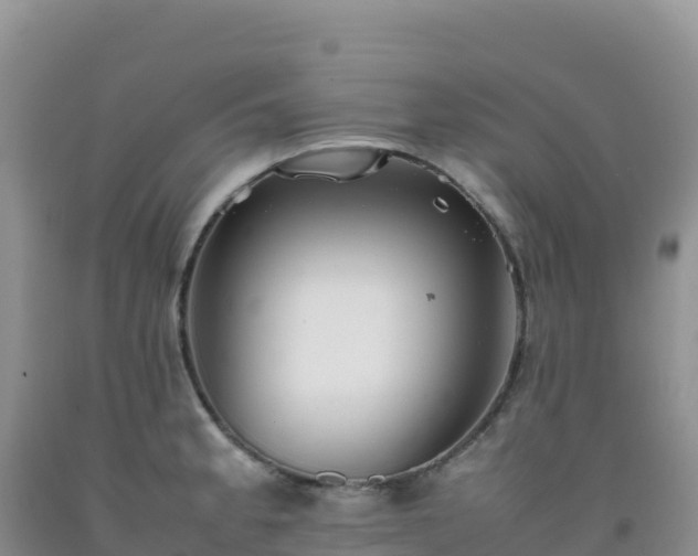 X0000092101189200709191300