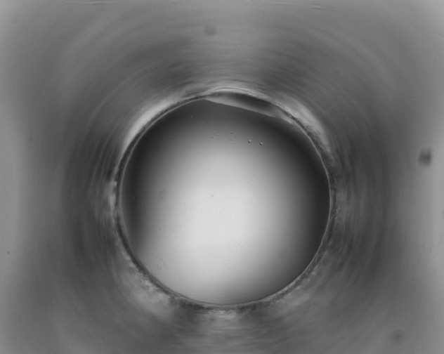 X0000092101190200709191300