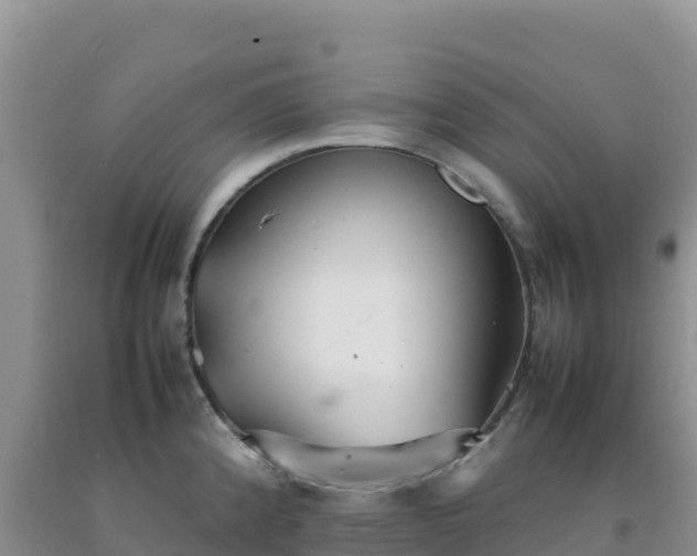 X0000092101192200709191300