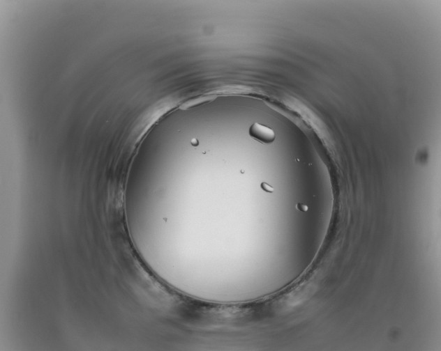 X0000092101193200709191300