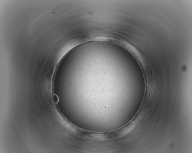 X0000092101194200709191300