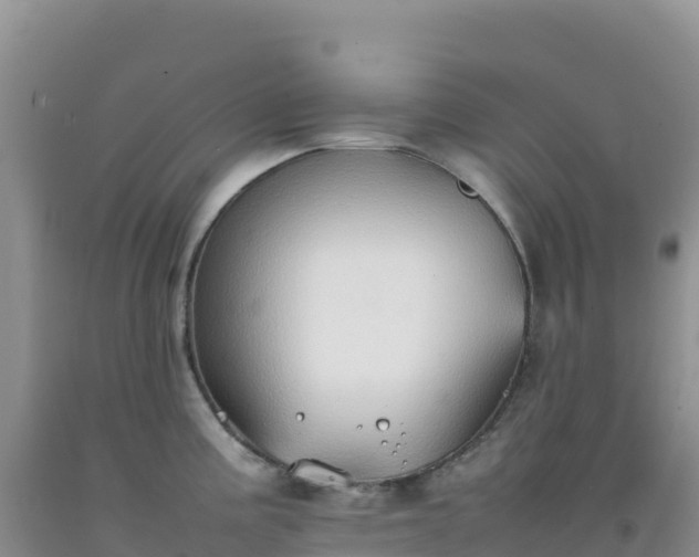 X0000092101195200709191300