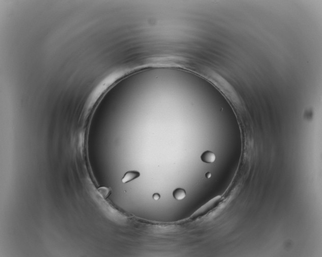 X0000092101196200709191300