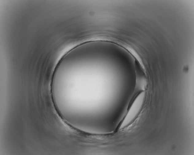 X0000092101197200709191300