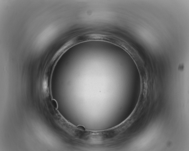 X0000092101198200709191300