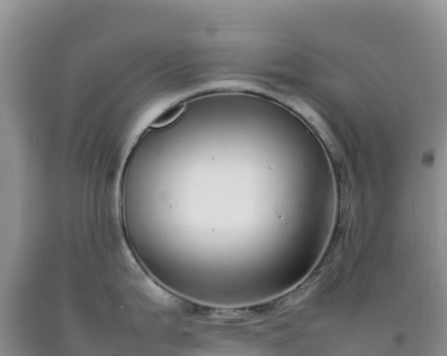 X0000092101199200709191300