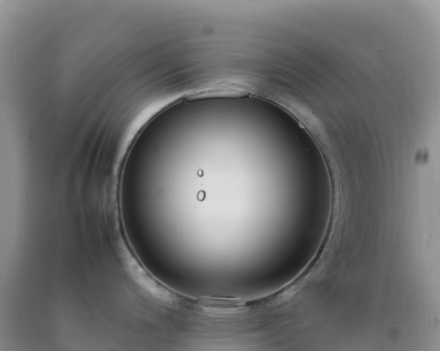 X0000092101200200709191300