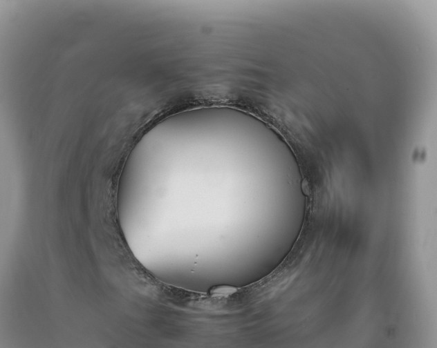 X0000092101201200709191259