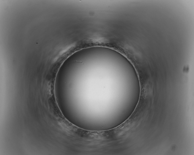 X0000092101205200709191259