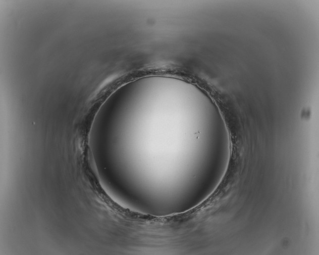 X0000092101206200709191259