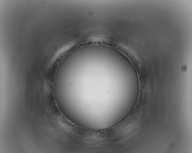 X0000092101207200709191259