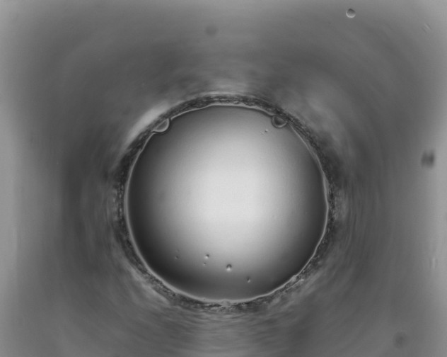 X0000092101208200709191259