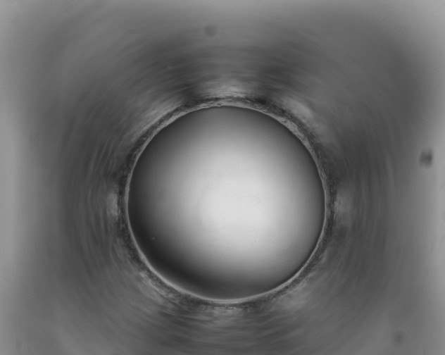 X0000092101209200709191259