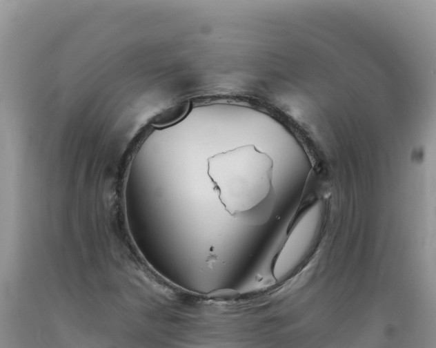 X0000092101210200709191259