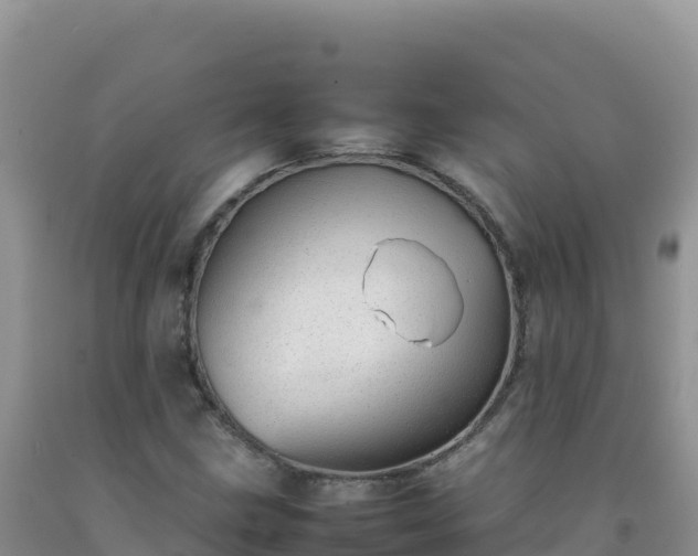 X0000092101211200709191259