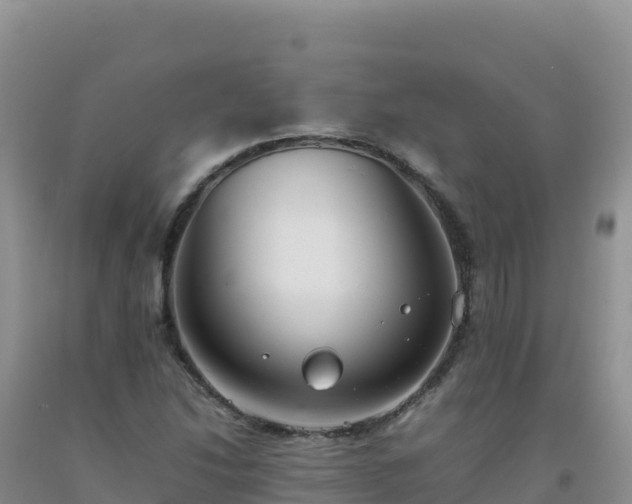 X0000092101214200709191259