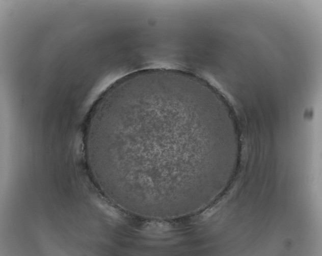 X0000092101215200709191300