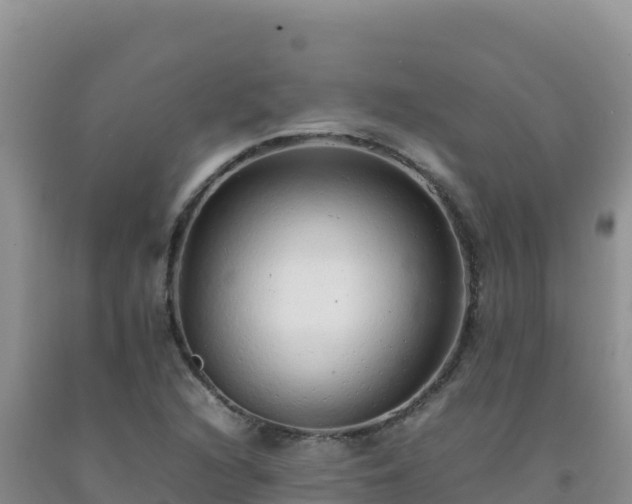 X0000092101216200709191300