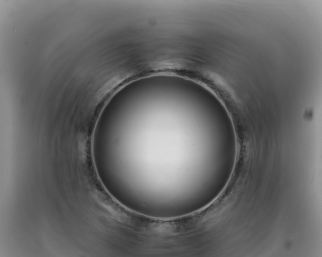 X0000092101217200709191300