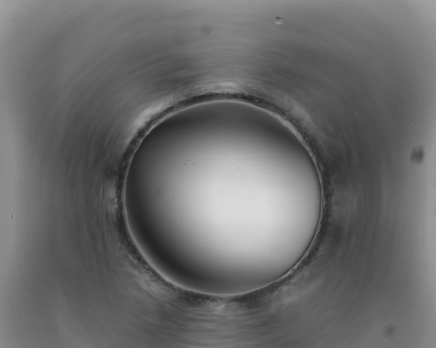 X0000092101218200709191300