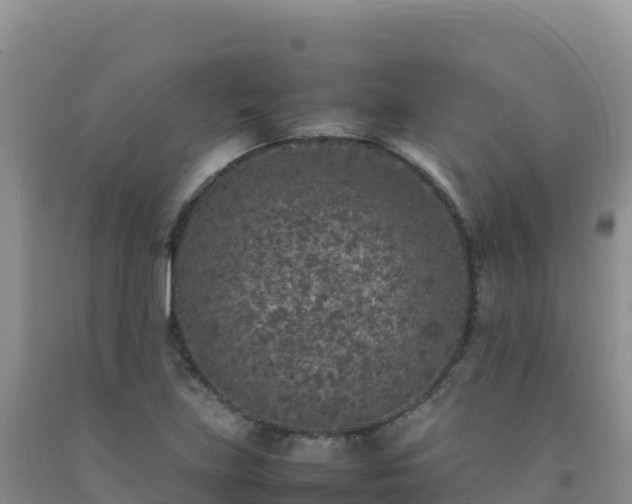 X0000092101219200709191300