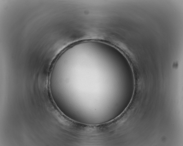 X0000092101220200709191300